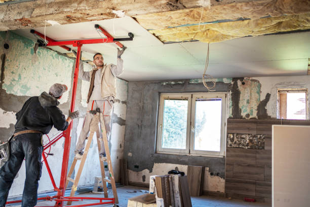 Best Geographic-Specific Insulation Services in Reeds Spring, MO
