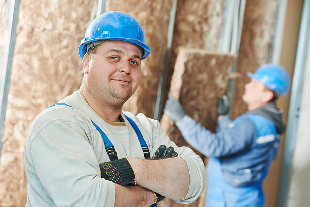 Best Eco-Friendly Insulation in Reeds Spring, MO