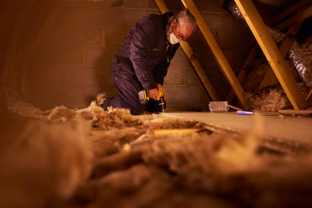 Best Specialized Insulation Services in Reeds Spring, MO
